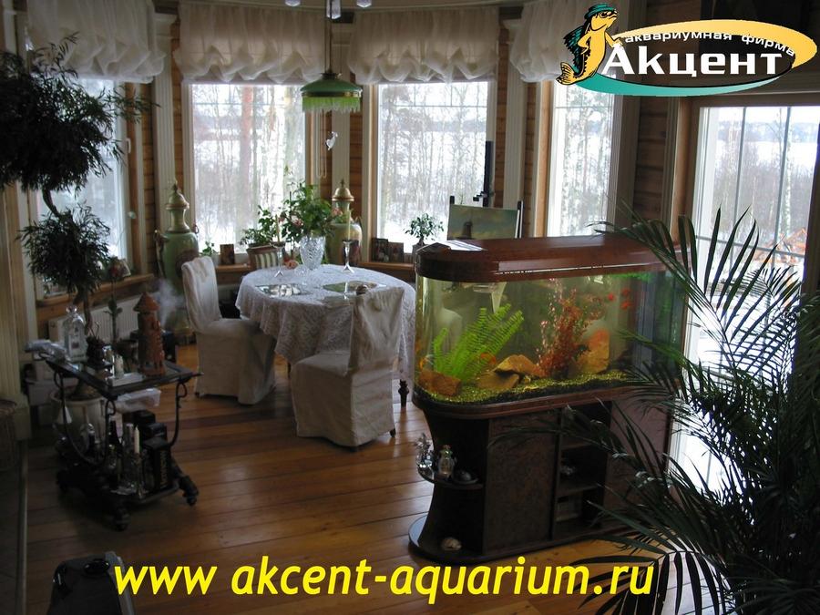 Акцент-Аквариум, аквариум просмотровый JEBO