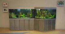 Акцент-аквариум, составной аквариум длинной 4 метра