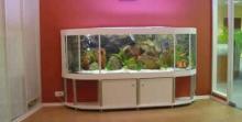 Акцент-аквариум, аквариум 2,5 метра длинной на четвертом этаже поднятый краном