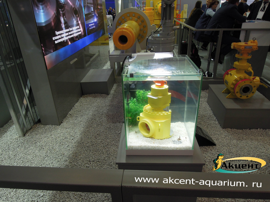 Акцент-аквариум аквариум 80л с покрывным стеклом на Петербуржском международном газовом форуме