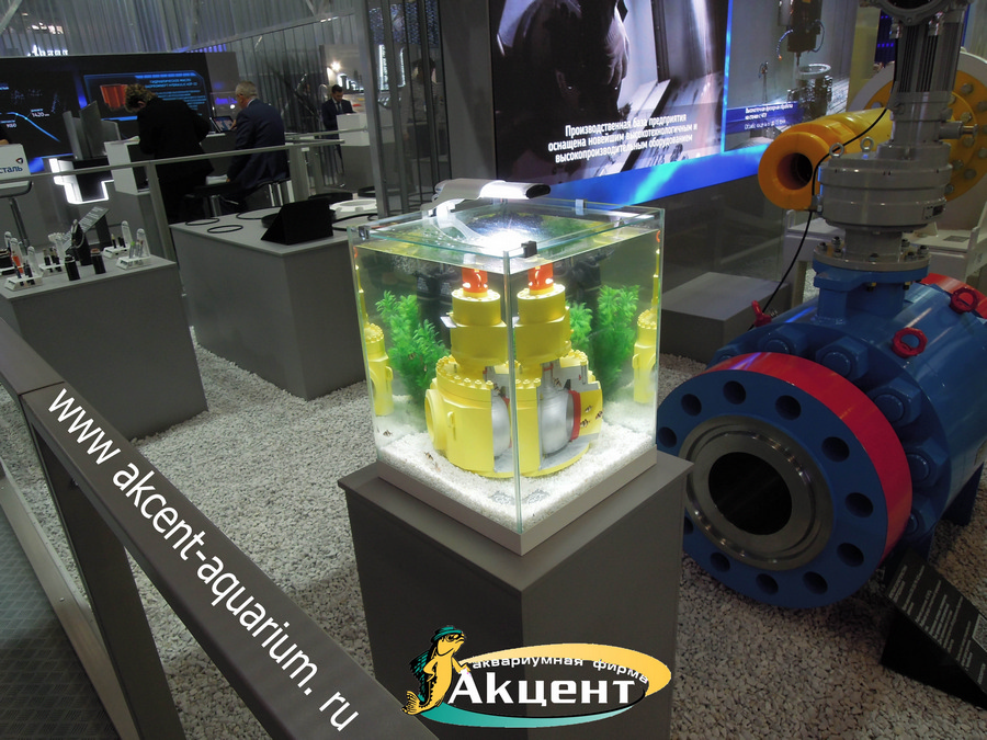 Акцент-аквариум аквариум 80л с покрывным стеклом на Петербуржском международном газовом форуме