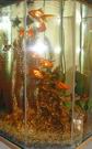 img-6755