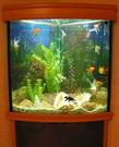 img-7528