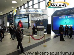 Акцент-аквариум,аквариум 270 литров с гнутым передним стеклом