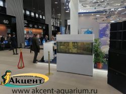Акцент-аквариум,аквариум морской 400 литров просмотровый